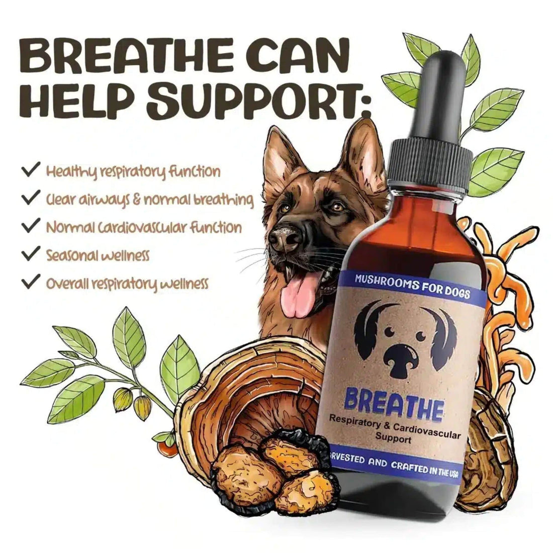 MycoDog Breathe Mushrooms Benefits and What it Helps Support