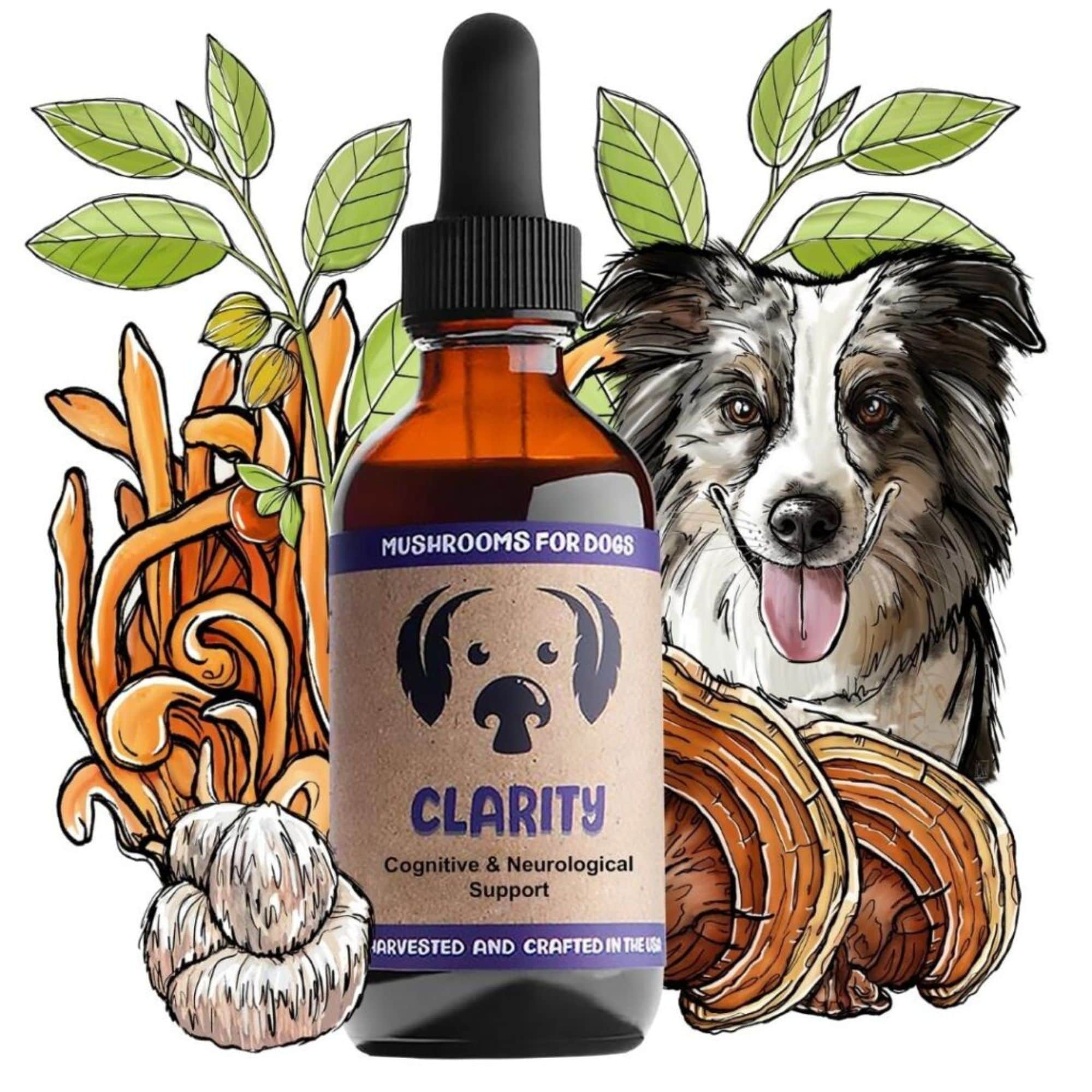 MycoDog Clarity Mushrooms for Cognitive & Neurological Support Bottle
