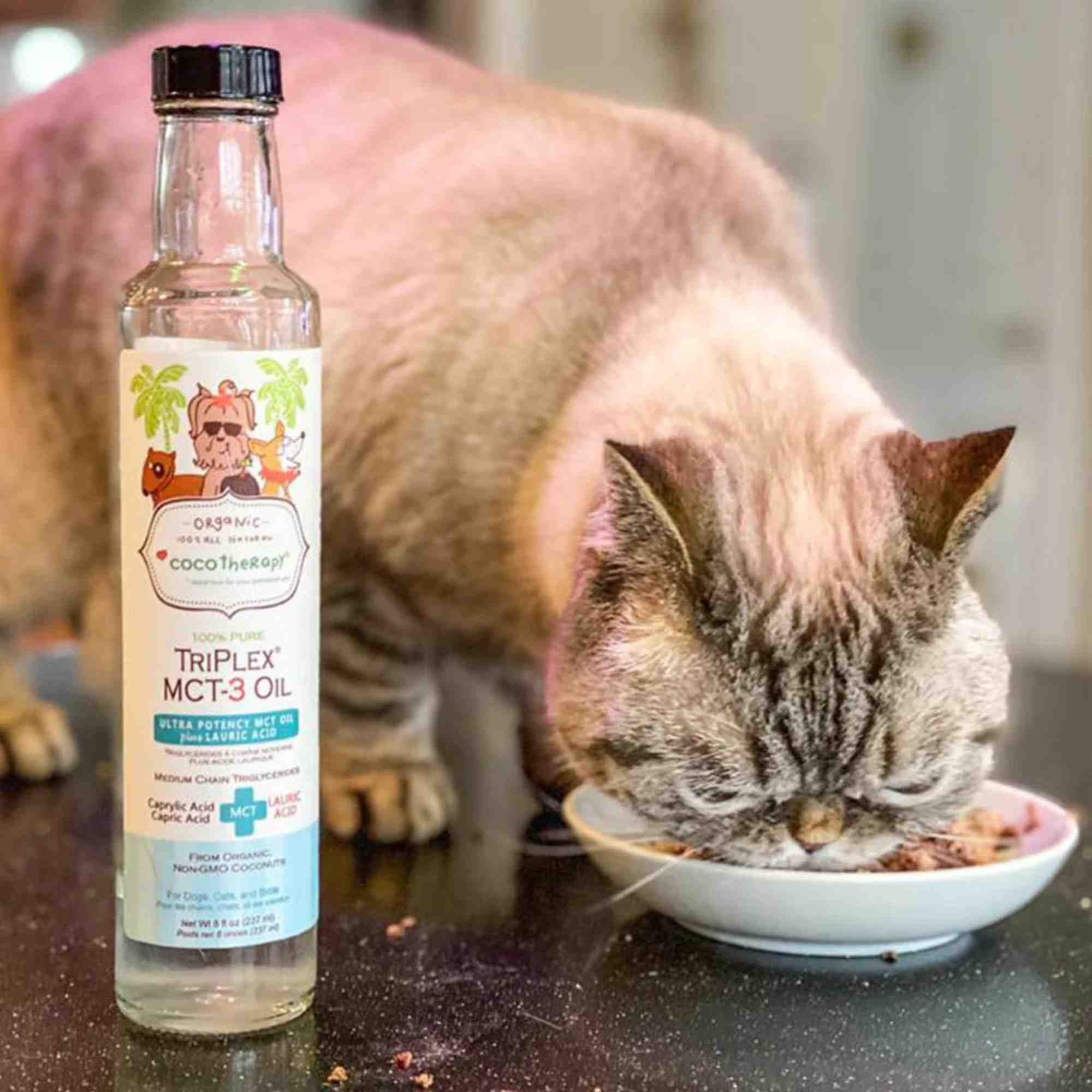 CocoTherapy Triplex MCT 3 Oil Cat Supplement