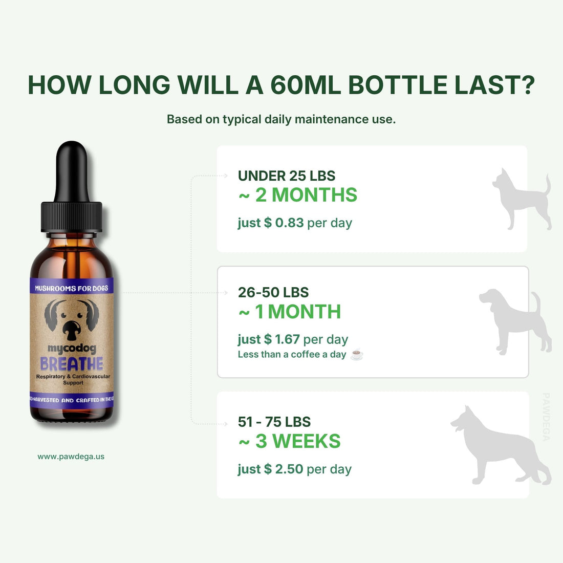 An informational infographic for mycodog breathe mushrooms showing a 60ml dropper bottle on a pale green background with text explaining bottle lifespan based on dog weight and daily maintenance use.