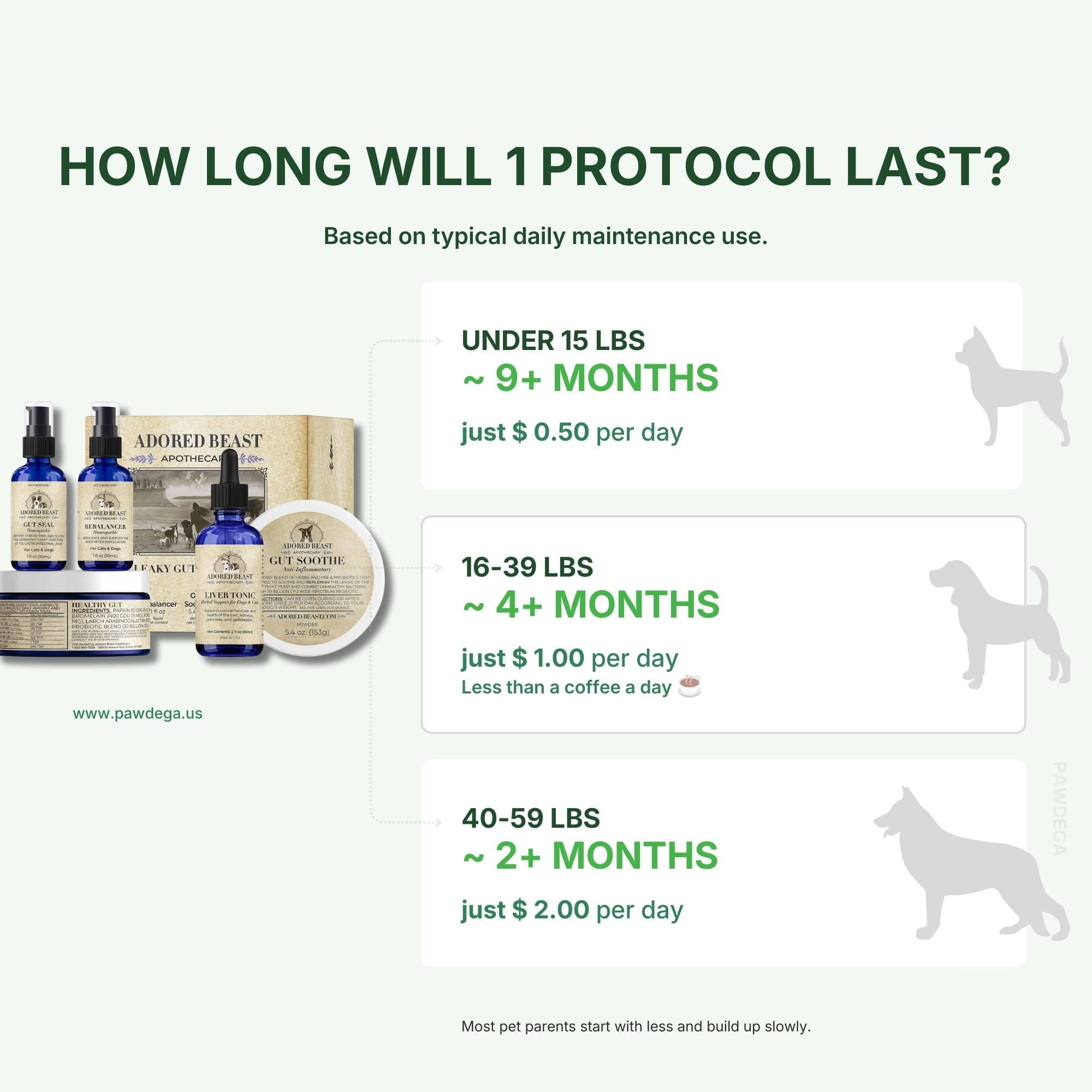 Leaky Gut Protocol packaging with pricing and usage duration information on a white background