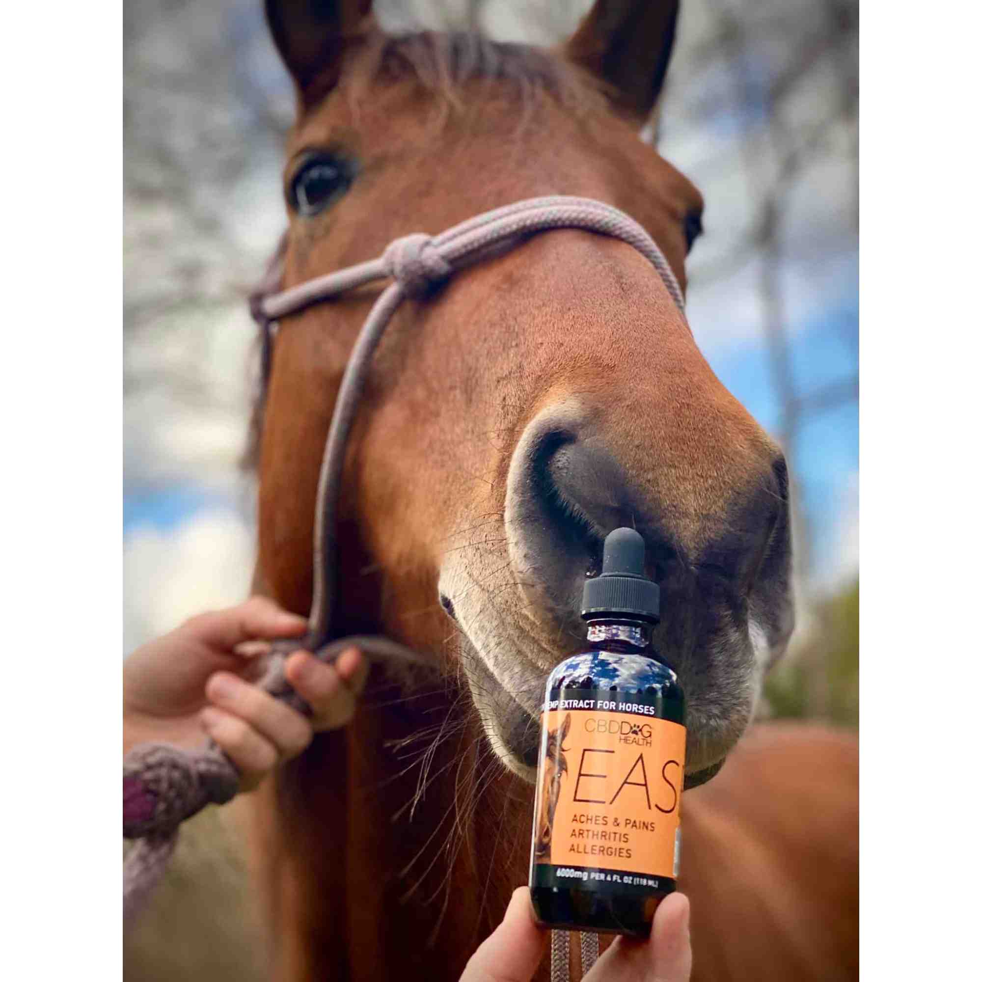 EASE - Full-Spectrum Oil for Horses
