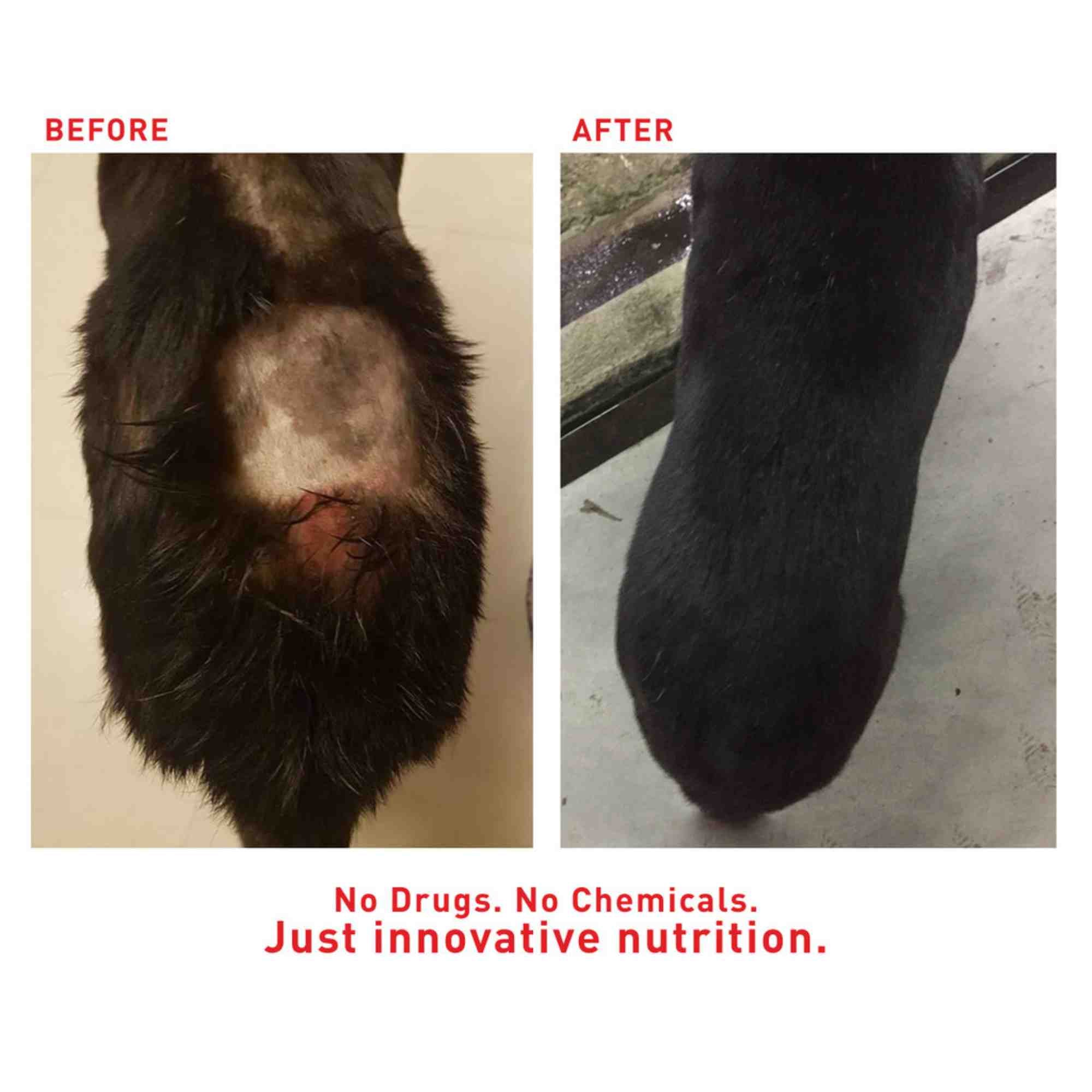 Faith Cleanse and Detox before and after