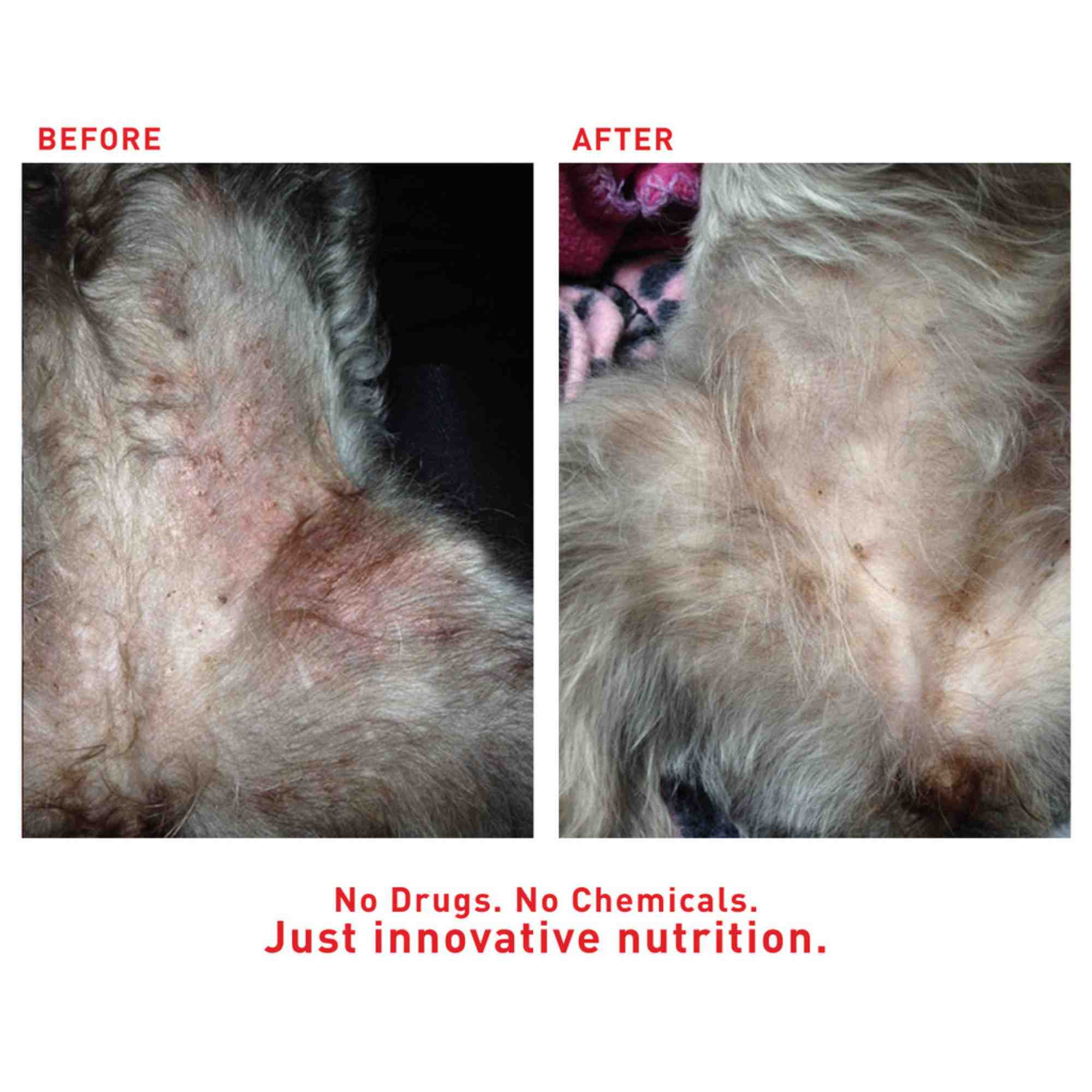 Faith Cleanse and Detox before and after belly