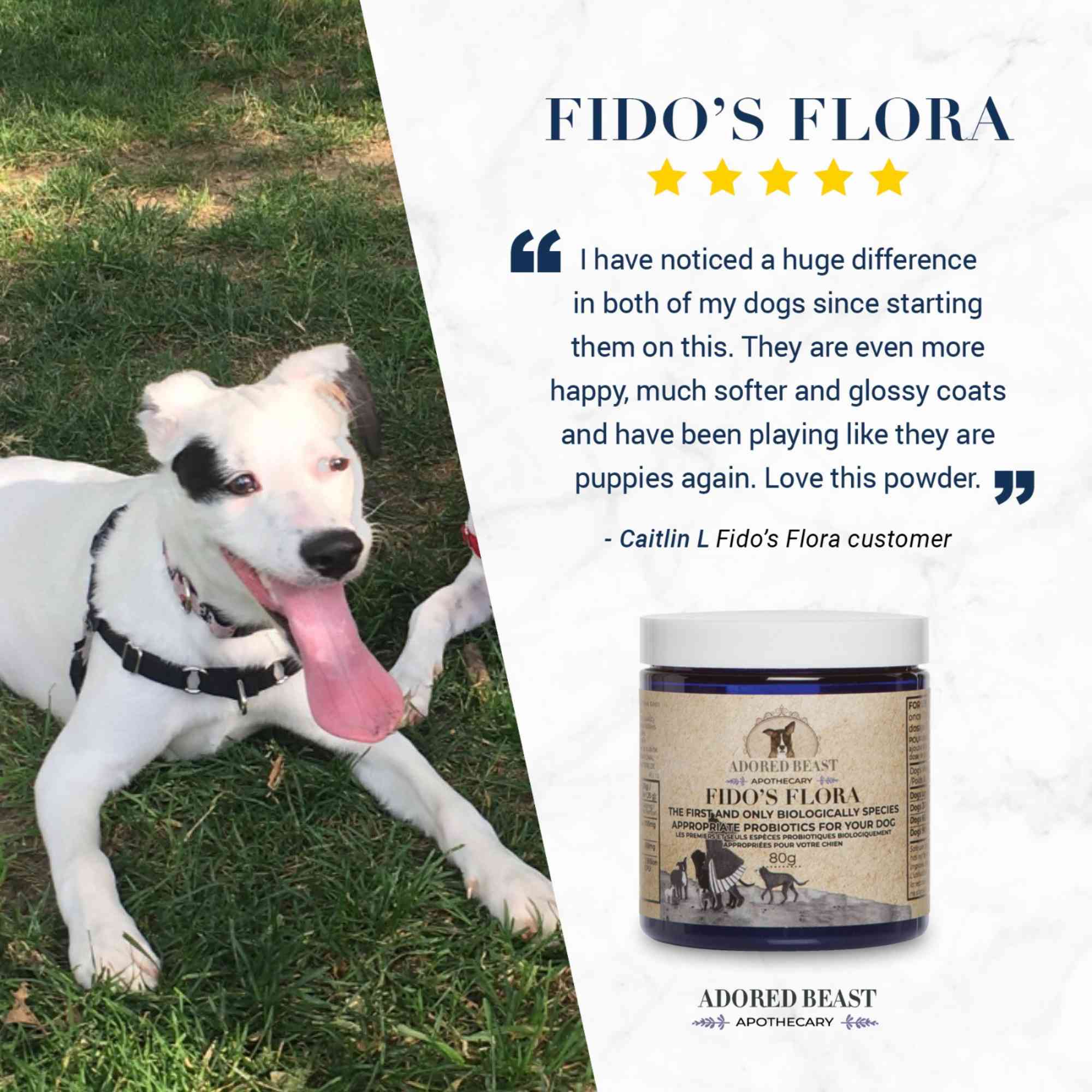 Fidos Flora Dog Probiotic Testimonial Adored Beast