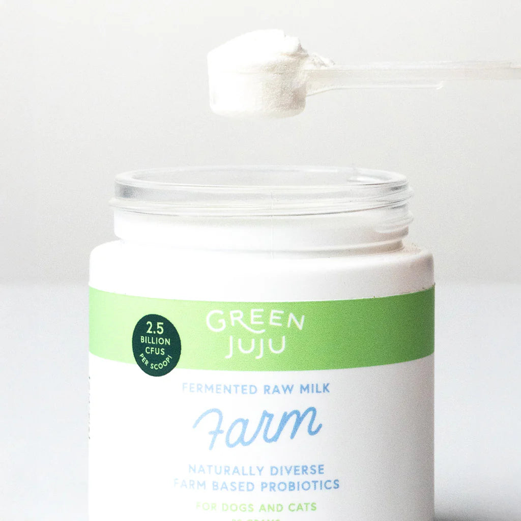 Farm-Fermented Raw Milk with Naturally Diverse Farm Based Probiotics by Green Juju for Dogs and cats in a 30g jar on display with powder