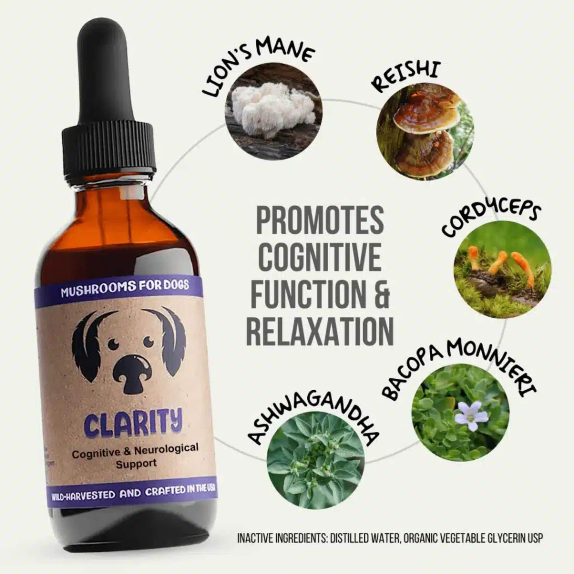 MycoDog Clarity Mushrooms Ingredients Promotes Cognitive Function & Relaxation