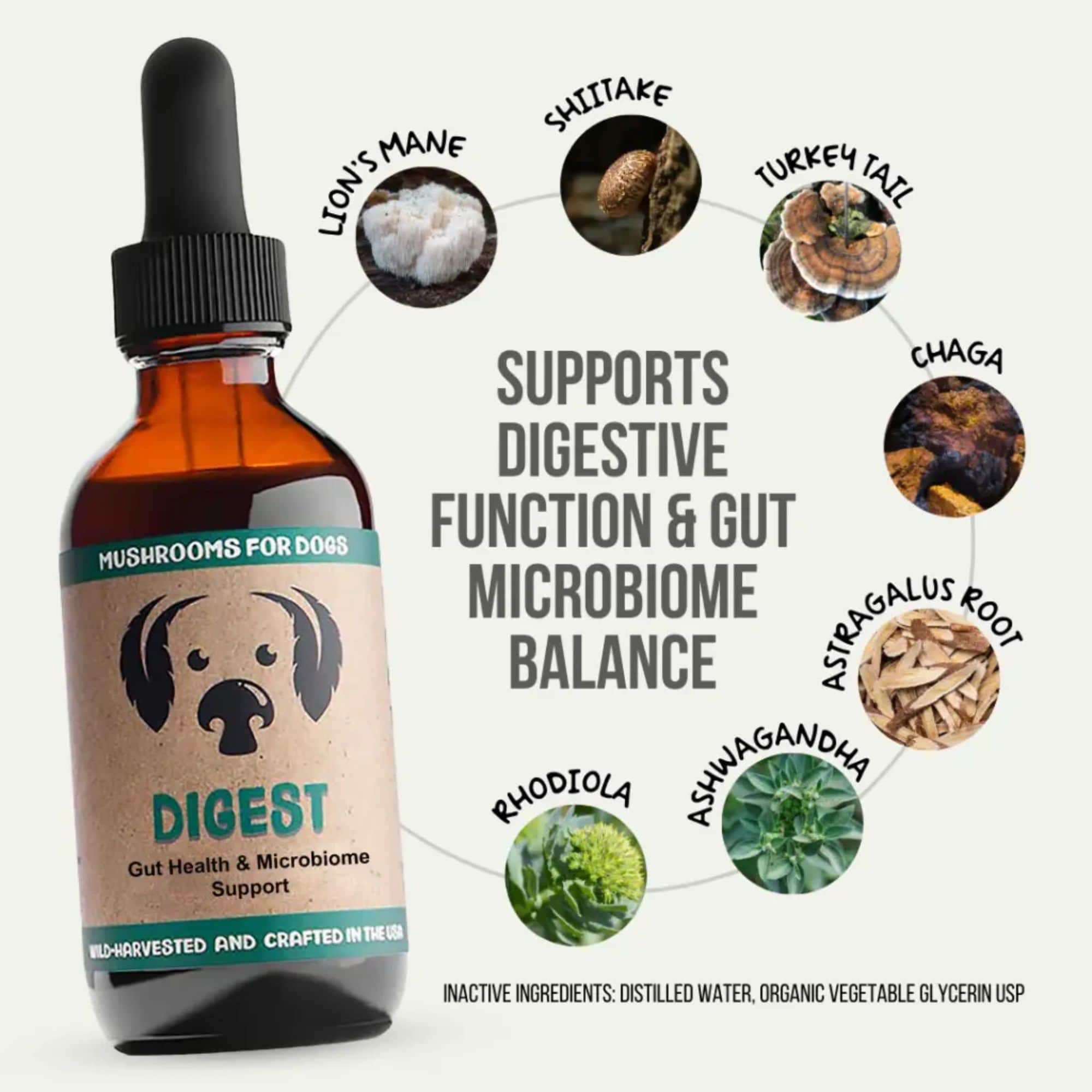 MycoDog Digest Mushrooms Ingredients Supports Digestive Function & Gut Microbiome Balance