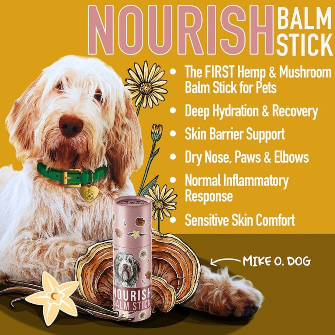 NOURISH Salve Stick: For Dry Skin, Paws, Nose, & Elbows