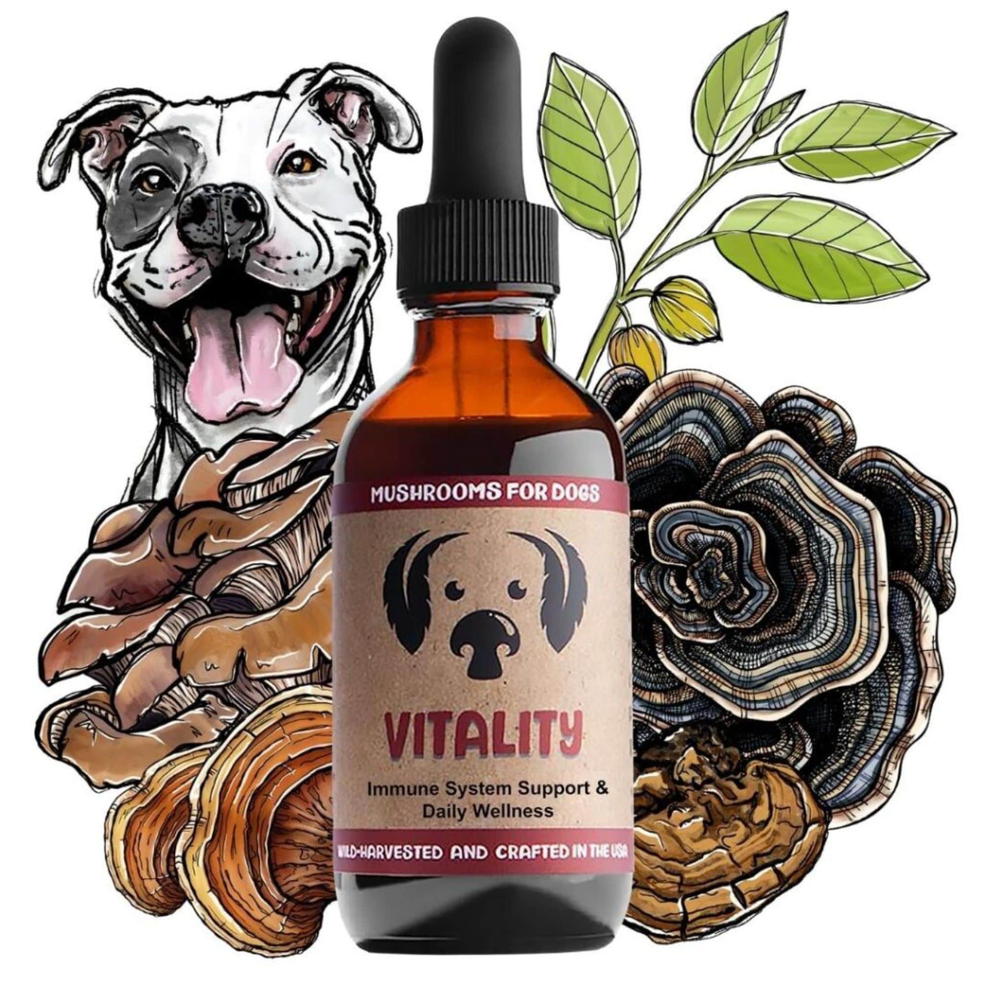 MycoDog Vitality Mushrooms for Immune system Support & Daily Wellness Bottle