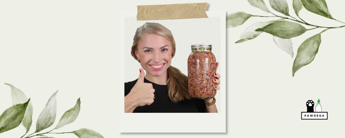 Fermented Vegetables for Dogs: Our Free Recipe