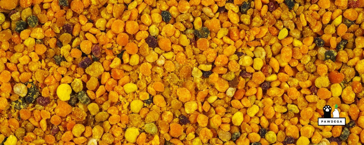 Bee Pollen for Dogs: What the Research Actually Shows