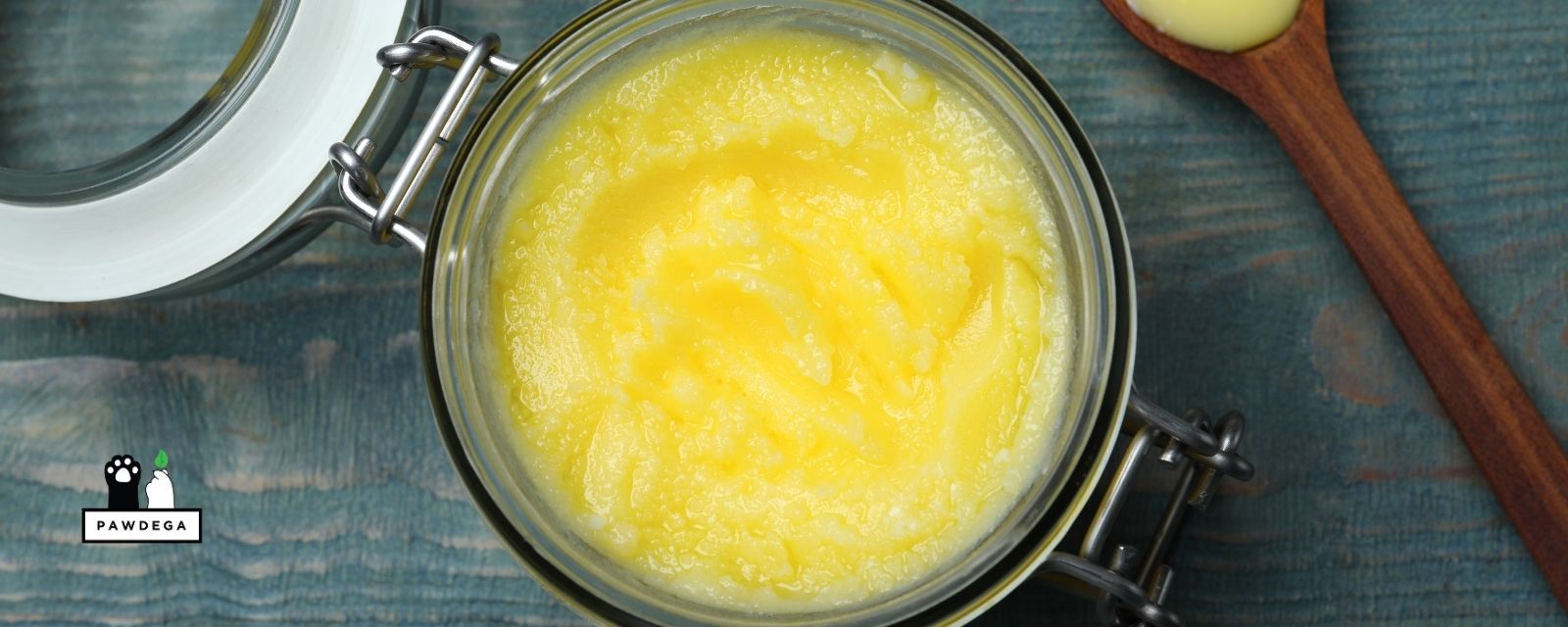 Ghee for Dogs: What It Actually Does