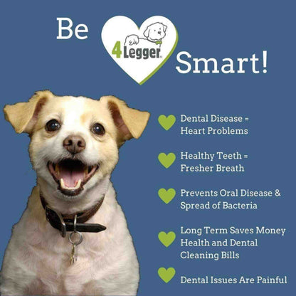 4-legger-dental-care-mint-fresh-all-natural-dental-powder-safe-non-toxic-vegan-toothpaste-alternative- health benefits