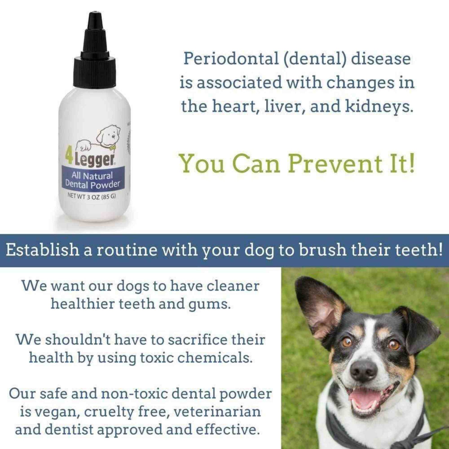 4-legger-dental-care-mint-fresh-all-natural-dental-powder-safe-non-toxic-vegan-toothpaste-alternative periodontal gum disease information
