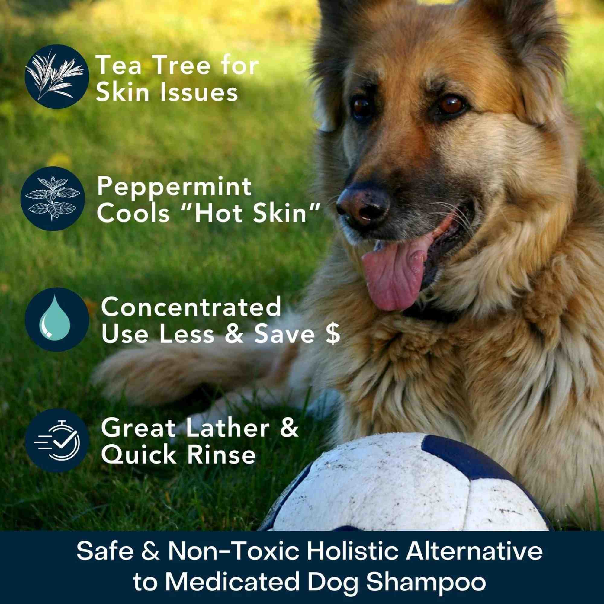 4-legger-usda-certified-organic-dog-shampoo-cooling-organic-tea-tree-oil-dog-shampoo-with-peppermint- benefits