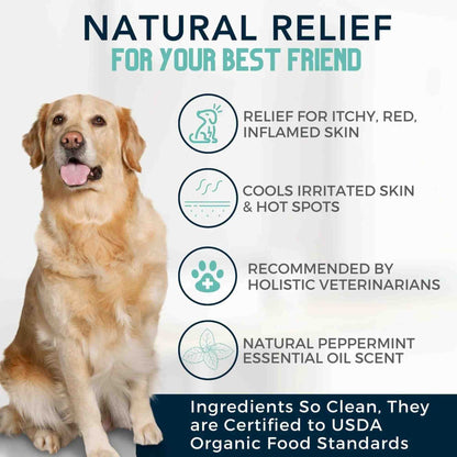 4-legger-usda-certified-organic-dog-shampoo-cooling-organic-tea-tree-oil-dog-shampoo-with-peppermint-health benefits
