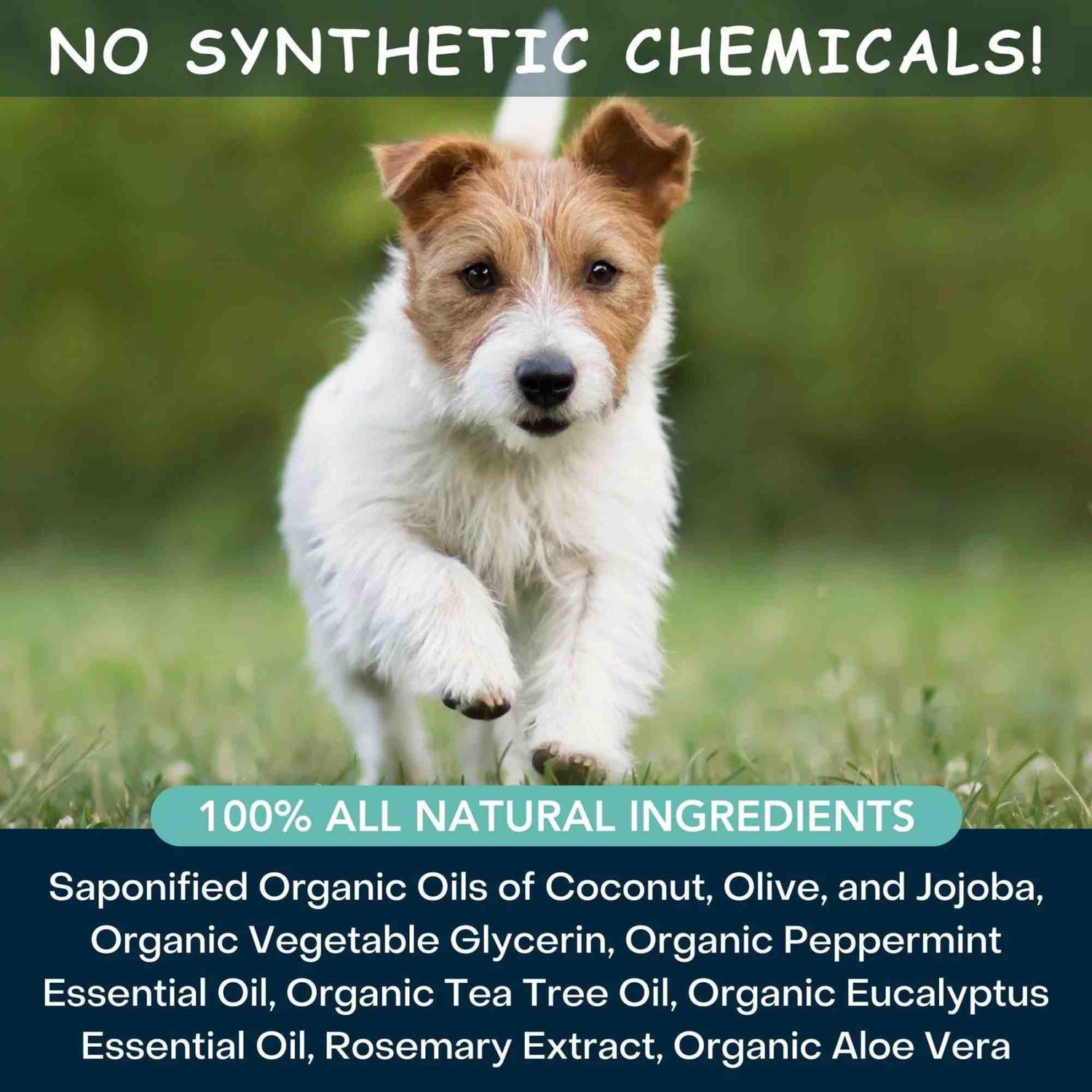 4-legger-usda-certified-organic-dog-shampoo-cooling-organic-tea-tree-oil-dog-shampoo-with-peppermint-ingredient list with no synthetics