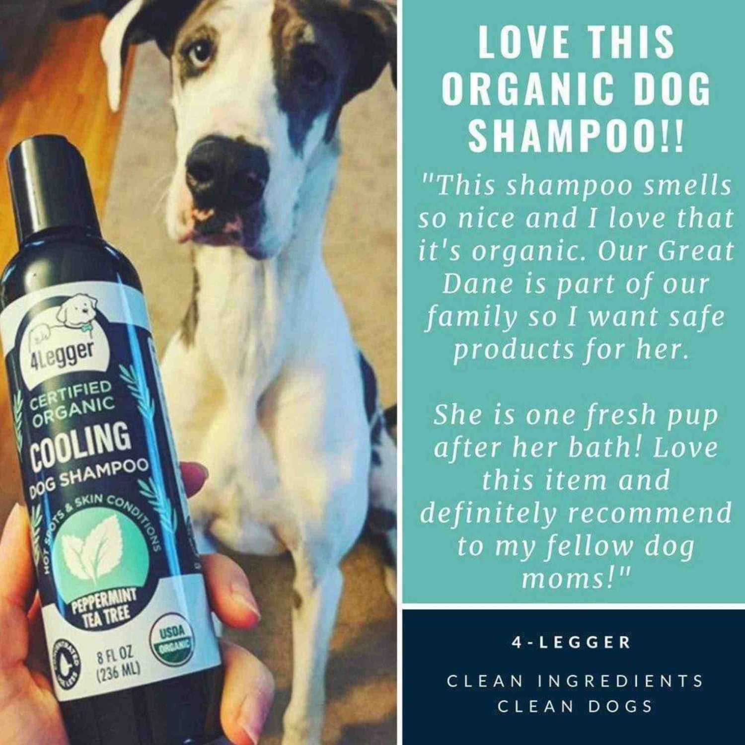 4-legger-usda-certified-organic-dog-shampoo-cooling-organic-tea-tree-oil-dog-shampoo-with-peppermint-testimonial