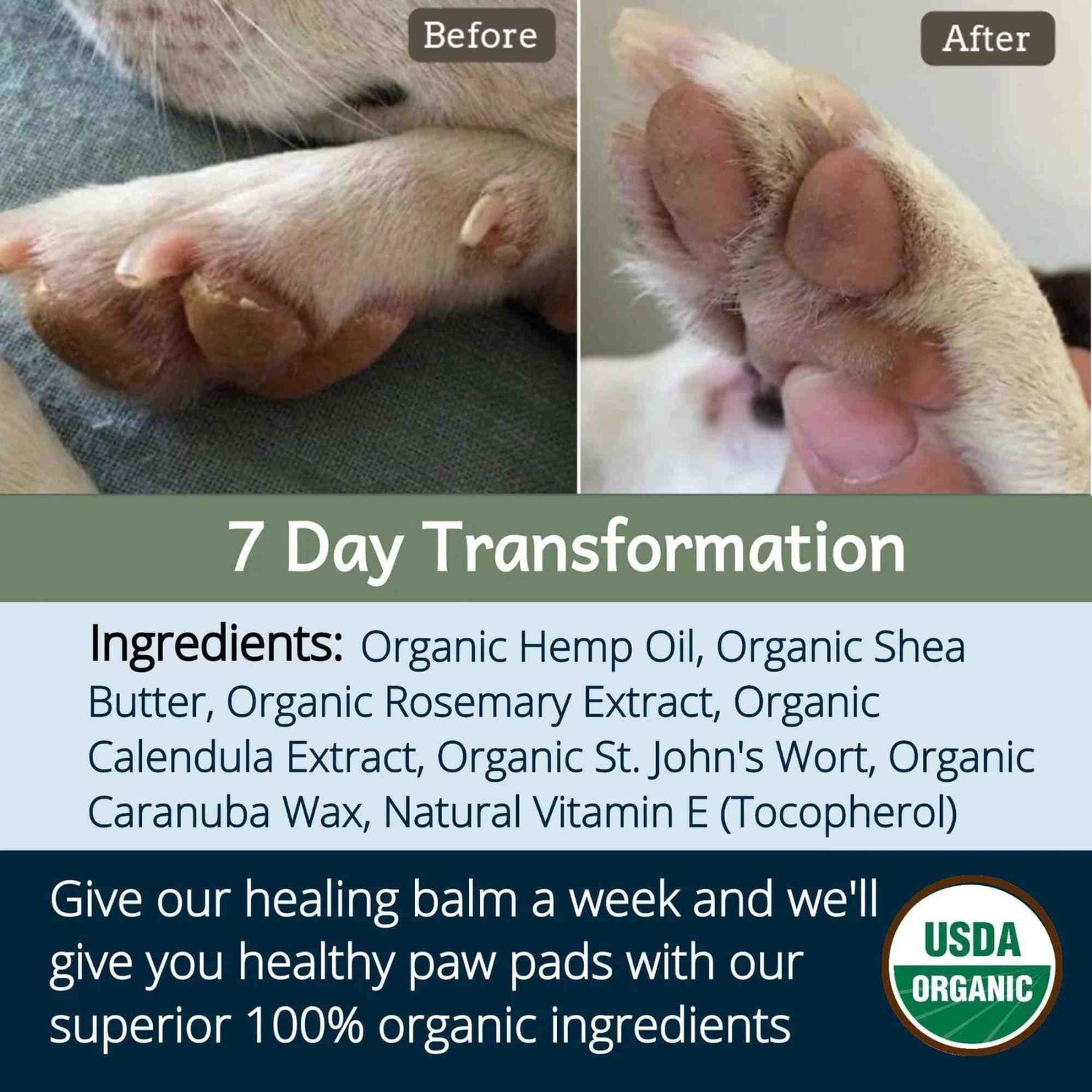 4-legger healing balm usda certified organic healing balm for dog nose and paw pads ingredients and 7 day transformation