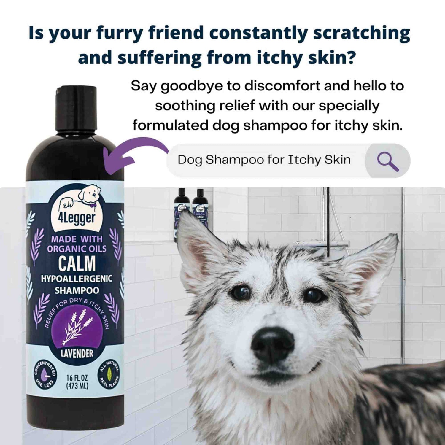 4-legger usda certified organic dog shampoo 16 oz bottle calm organic lavender dog shampoo with calendula and st john&