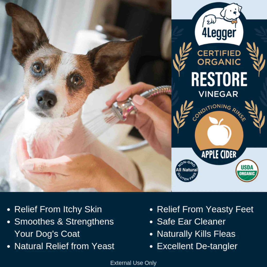 RESTORE Organic Apple Cider Vinegar Conditioning Rinse