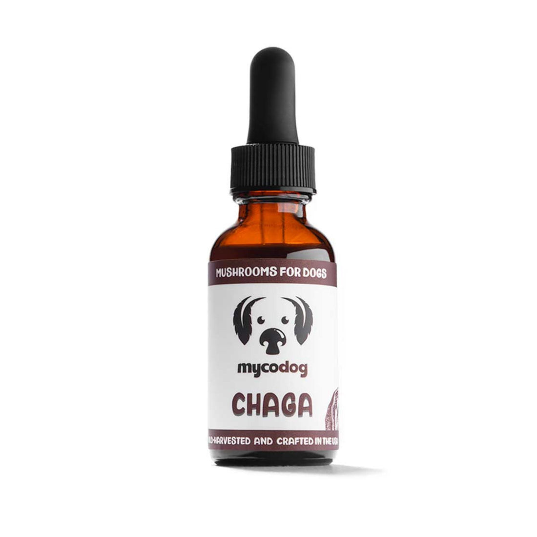 Chaga Mushrooms | Liquid Dual Extract