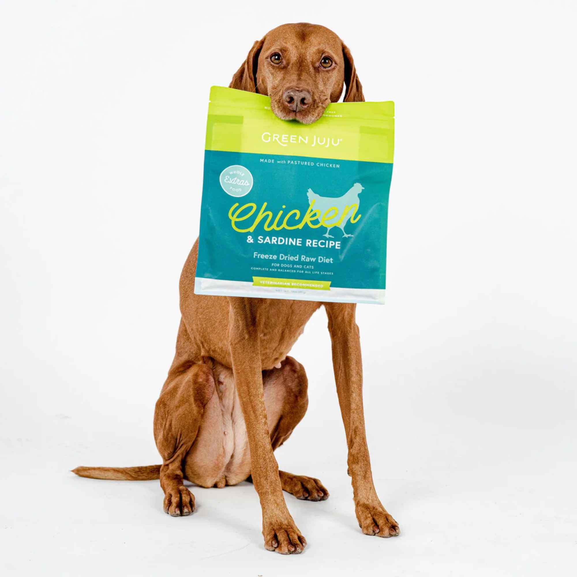 Dog holding a bag of Green Juju freeze-dried raw Chicken &amp; Sardine Recipe pet food on a white background