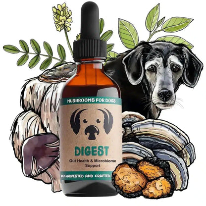 MycoDog Digest Mushrooms for Gut Health &amp; Microbiome Support Bottle