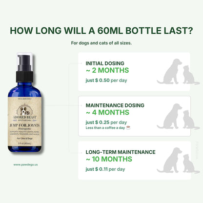 Jump for JOYnts - Joint Support