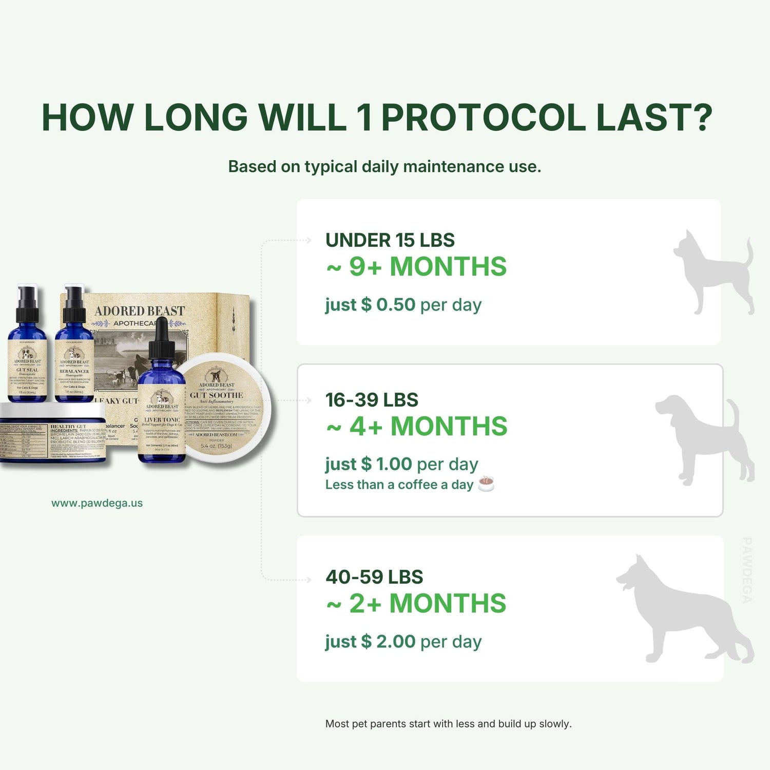 Leaky Gut Protocol packaging with pricing and usage duration information on a white background