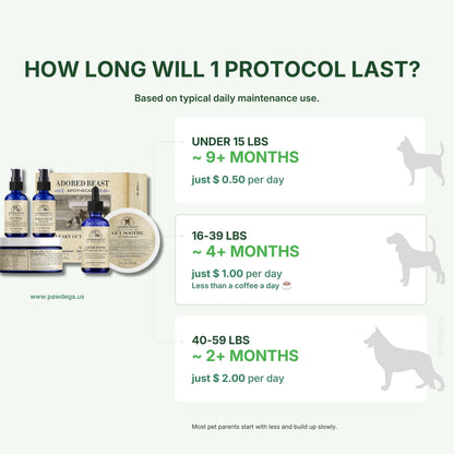Leaky Gut Protocol packaging with pricing and usage duration information on a white background