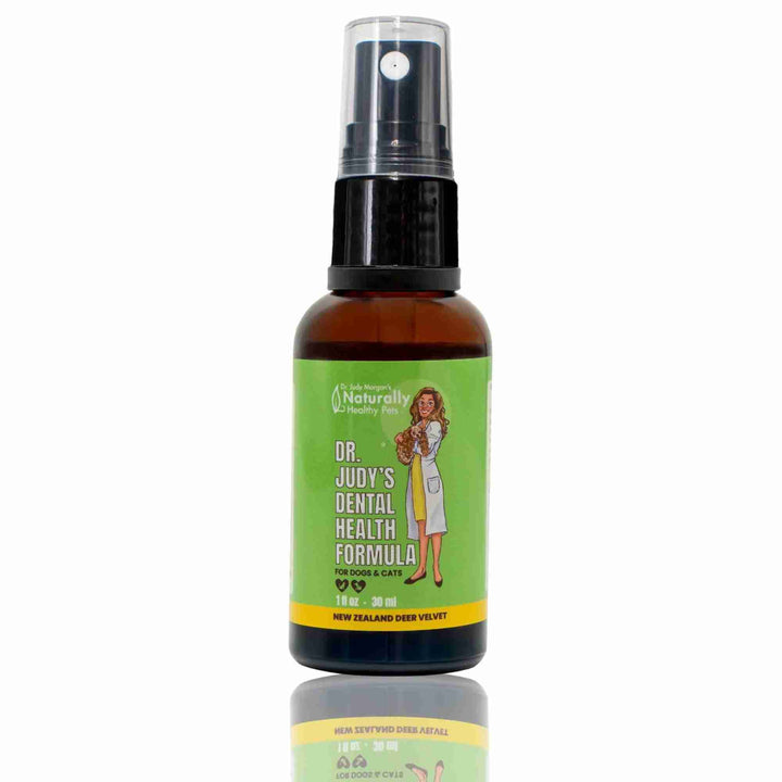 Dr. Judy Morgan's Dental Health Formula spray bottle for dogs who will not tolerate a toothbrush