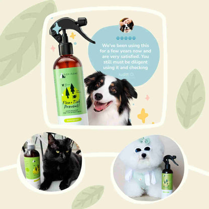 Flea and Tick Prevent - Kin and Kind Front of bottle 12 fl oz for dog and cat lemon grass scent repel pest and vet formulated social proof