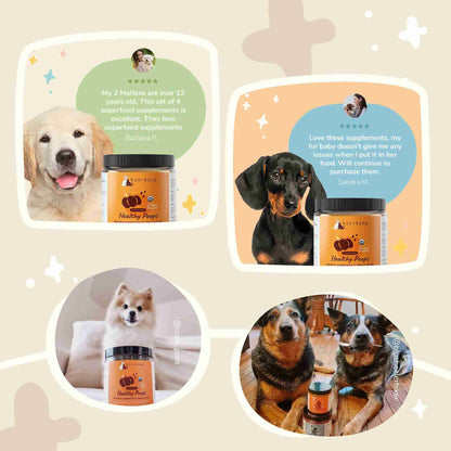 Healthy Poops Social proof by kin and kind for dogs and cats