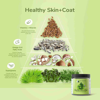Healthy Skin and Coat Ingredients with benefits for dogs and cats