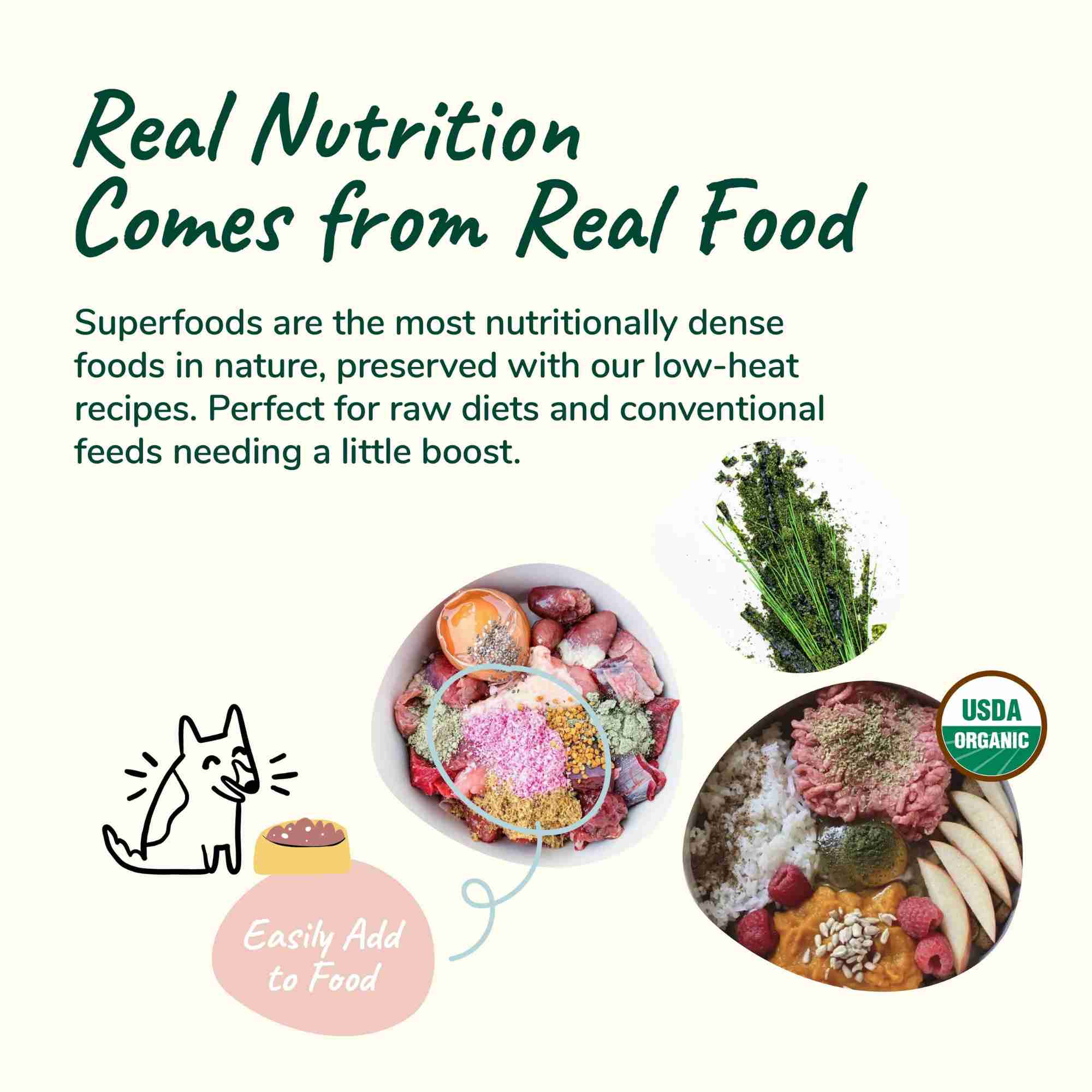 Healthy Skin and Coat Real food comes from real nutrition for dogs and cats by kin and kind