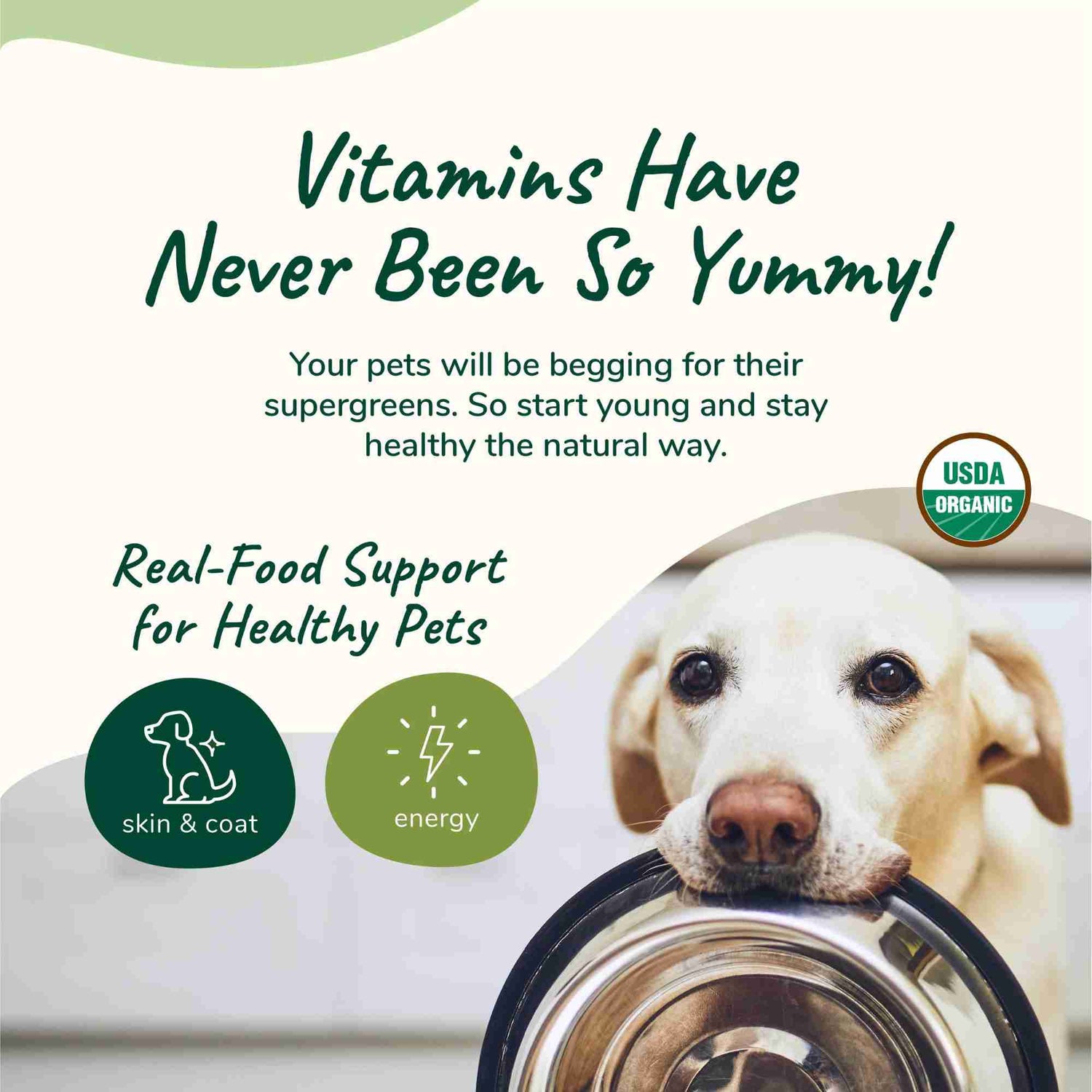 Healthy Skin and Coat trust badges for dogs and cats