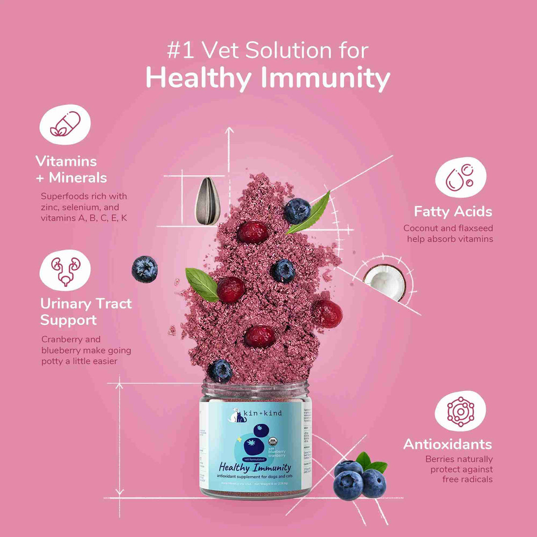 Healthy immunity antioixidant supplement for dogs and cats with blueberries and cranberries usda organic ingredient visual with benefits