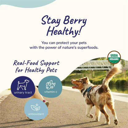 Healthy immunity antioixidant supplement for dogs and cats with blueberries and cranberries usda organic trust badges