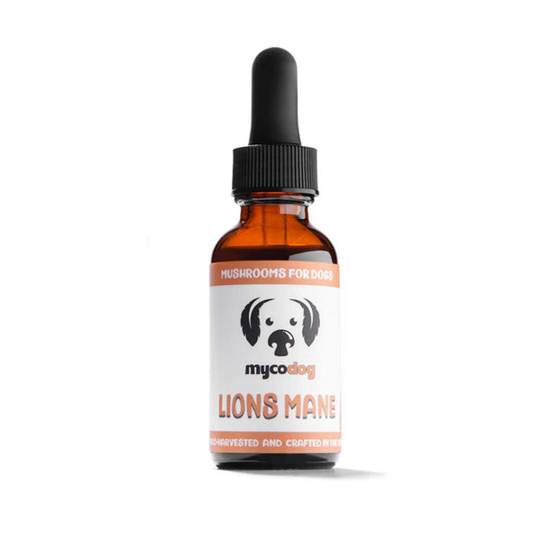 MycoDog Lion's Mane Mushrooms Liquid Dual Extract tincture for dogs, 1 fl oz bottle