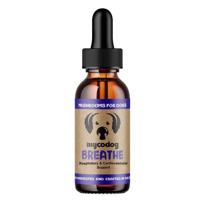 MycoDog BREATHE liquid mushroom extract for dogs with artist conk, cordyceps, reishi and chaga