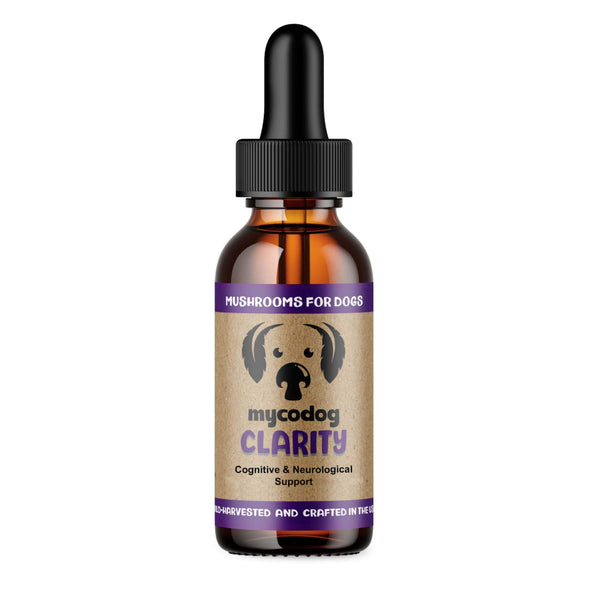 MycoDog CLARITY mushroom and adaptogen tincture for dogs, front of bottle
