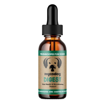 MycoDog Digest Mushrooms for dogs for Gut Health and Microbiome support front of bottle