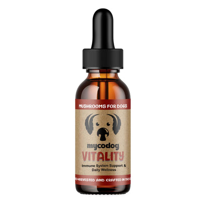 Vitality - Mushrooms for Immune System Support and Daily Wellness - front of bottle by Mycodog