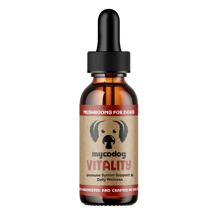 MycoDog Vitality triple-extracted mushroom tincture for dogs containing red belted conk