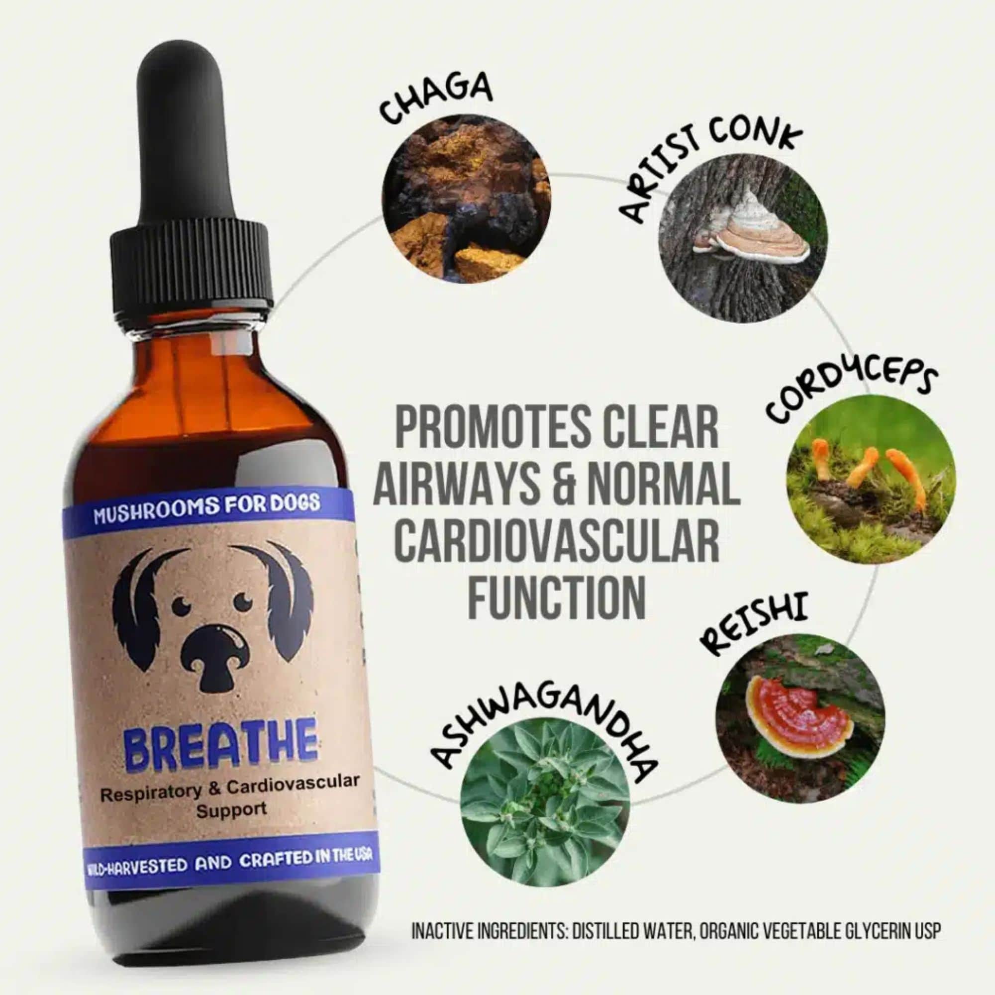 MycoDog Breathe Mushrooms Ingredients Promotes Clear Aiways &amp; Normal Cardiovascular Function