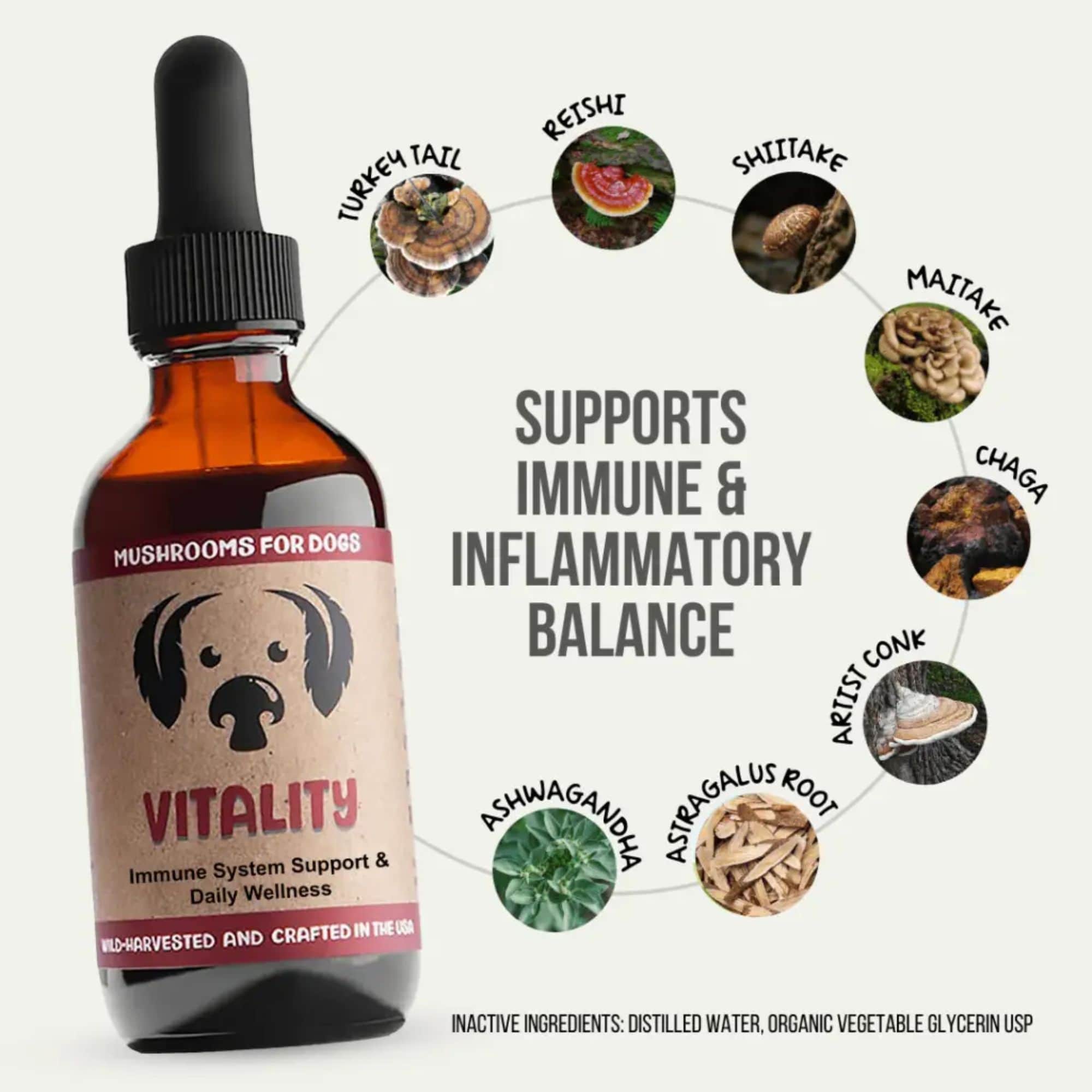 MycoDog Vitality Mushrooms Ingredients Support Immune &amp; Inflammatory Balance