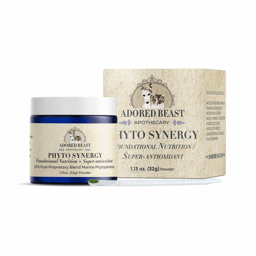 Adored Beast Phyto Synergy 100% pure marine phytoplankton jar with box and spoon