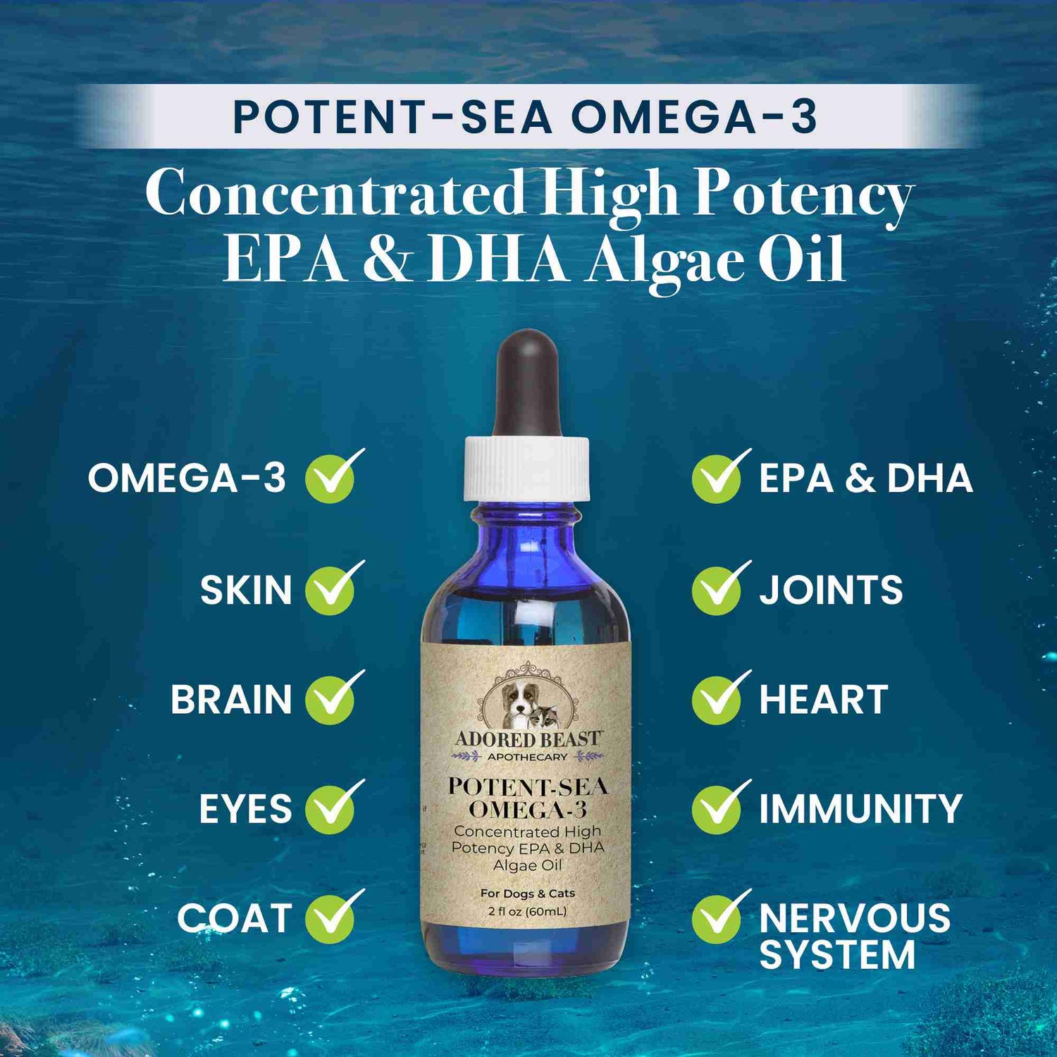 Potent Sea Omega 3 Algae Oil Adored Beast Benefits Concentrated High Potency EPA DHA